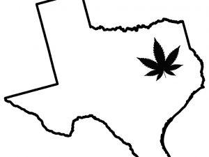 TX HERB